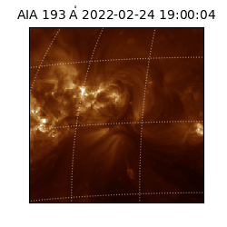 saia - 2022-02-24T19:00:04.843000