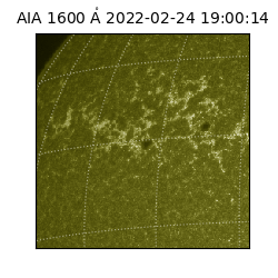 saia - 2022-02-24T19:00:14.126000