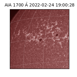 saia - 2022-02-24T19:00:28.746000