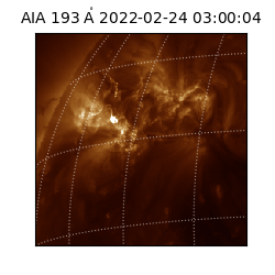 saia - 2022-02-24T03:00:04.844000