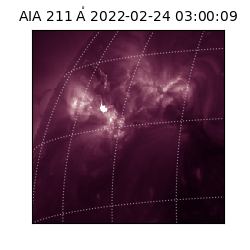 saia - 2022-02-24T03:00:09.625000