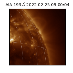 saia - 2022-02-25T09:00:04.843000