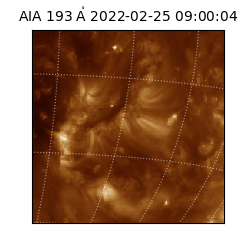 saia - 2022-02-25T09:00:04.843000