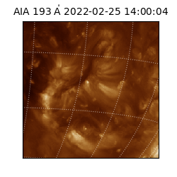 saia - 2022-02-25T14:00:04.835000