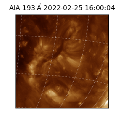 saia - 2022-02-25T16:00:04.846000