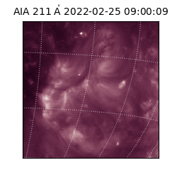 saia - 2022-02-25T09:00:09.629000