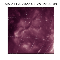 saia - 2022-02-25T19:00:09.632000