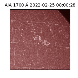 saia - 2022-02-25T08:00:28.745000