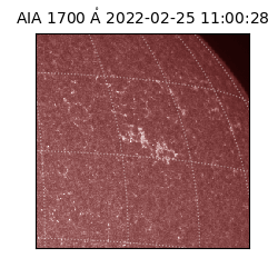 saia - 2022-02-25T11:00:28.745000