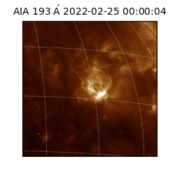 saia - 2022-02-25T00:00:04.843000