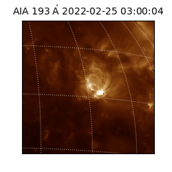 saia - 2022-02-25T03:00:04.846000