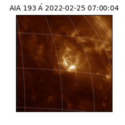 saia - 2022-02-25T07:00:04.843000