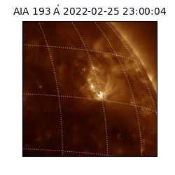 saia - 2022-02-25T23:00:04.843000