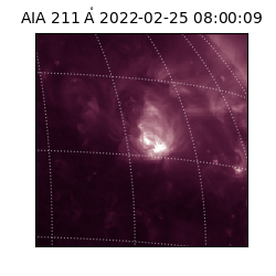 saia - 2022-02-25T08:00:09.626000