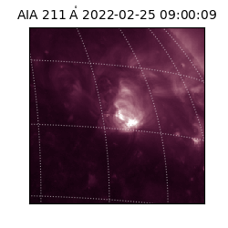 saia - 2022-02-25T09:00:09.629000