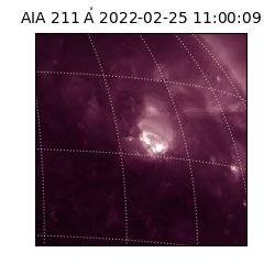 saia - 2022-02-25T11:00:09.626000