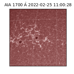 saia - 2022-02-25T11:00:28.745000
