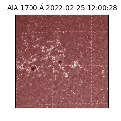 saia - 2022-02-25T12:00:28.745000