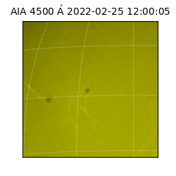saia - 2022-02-25T12:00:05.685000