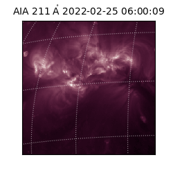 saia - 2022-02-25T06:00:09.633000
