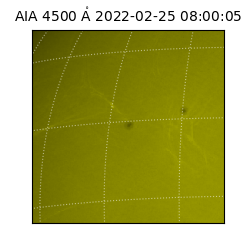 saia - 2022-02-25T08:00:05.685000