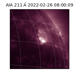 saia - 2022-02-26T08:00:09.618000