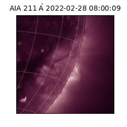 saia - 2022-02-28T08:00:09.630000