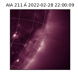 saia - 2022-02-28T22:00:09.632000