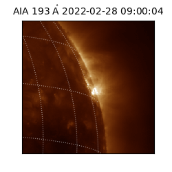 saia - 2022-02-28T09:00:04.843000