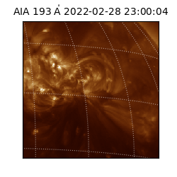 saia - 2022-02-28T23:00:04.846000
