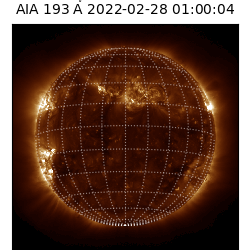 saia - 2022-02-28T01:00:00