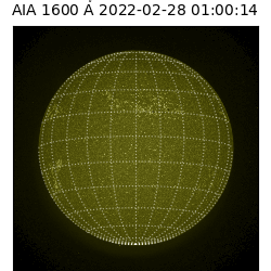 saia - 2022-02-28T01:00:00