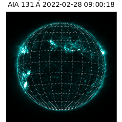 saia - 2022-02-28T09:00:00