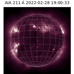saia - 2022-02-28T19:00:00