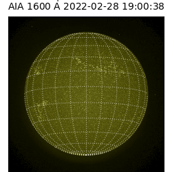 saia - 2022-02-28T19:00:00