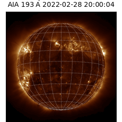 saia - 2022-02-28T20:00:00