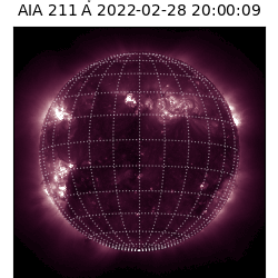 saia - 2022-02-28T20:00:00