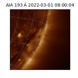 saia - 2022-03-01T08:00:04.843000