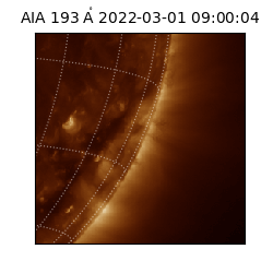 saia - 2022-03-01T09:00:04.843000