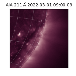 saia - 2022-03-01T09:00:09.623000