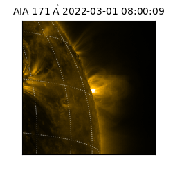 saia - 2022-03-01T08:00:09.350000