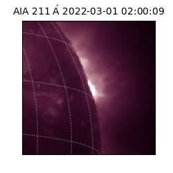 saia - 2022-03-01T02:00:09.630000