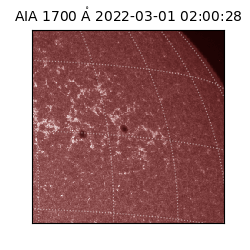 saia - 2022-03-01T02:00:28.745000