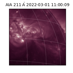saia - 2022-03-01T11:00:09.633000