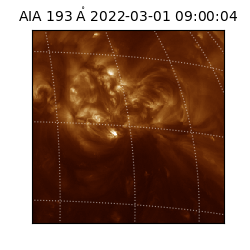 saia - 2022-03-01T09:00:04.843000
