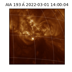 saia - 2022-03-01T14:00:04.843000