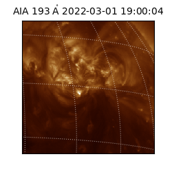 saia - 2022-03-01T19:00:04.843000
