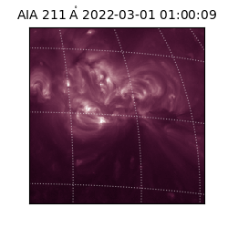 saia - 2022-03-01T01:00:09.632000