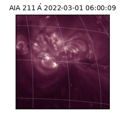 saia - 2022-03-01T06:00:09.629000