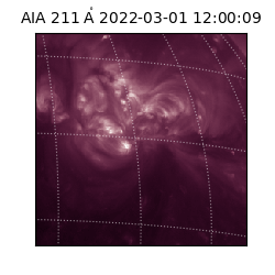 saia - 2022-03-01T12:00:09.639000